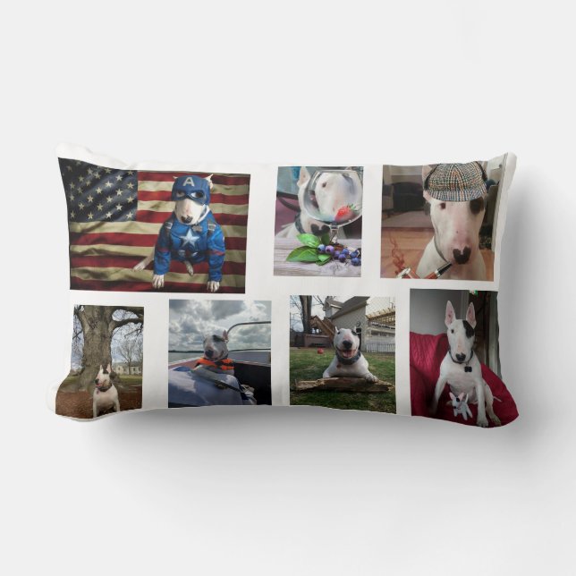 Rex The TV Terrier Lumbar Cushion (Front)