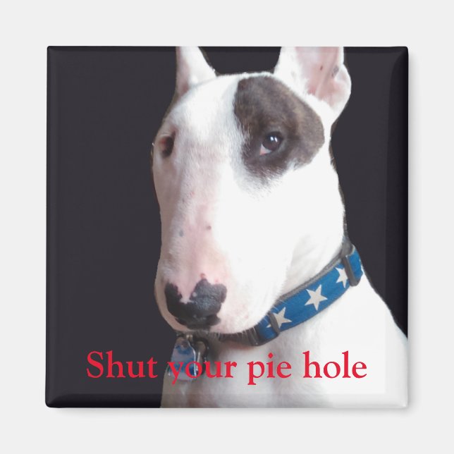 Rex The TV Terrier Shut Your pie hole square magne Magnet (Front)