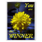 Rhapsody in blue and yellow YOU ARE THE WINNER