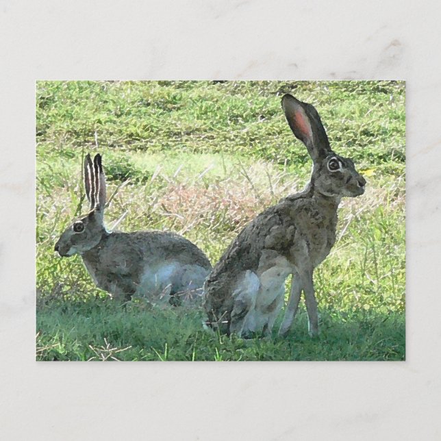 RHC Postcard (Front)