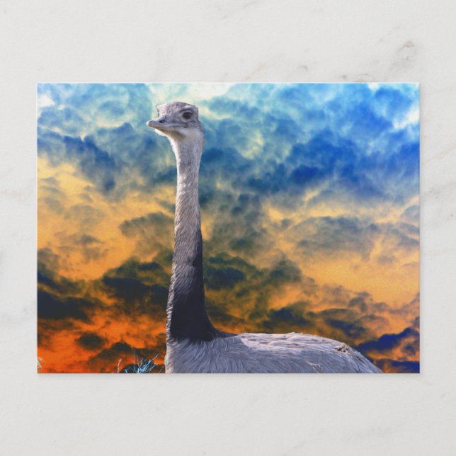 Rhea on Red Stormy Sky Postcard (Front)