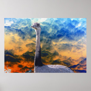 Rhea on Storm Cloud Sky Poster