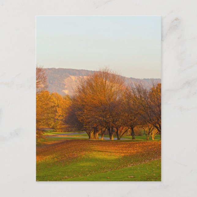 Rheinaue Park Postcard (Front)