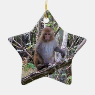 rhesus macaque monkey ceramic tree decoration