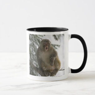Rhesus Macaque monkey (Macaca mulatta) sitting Mug