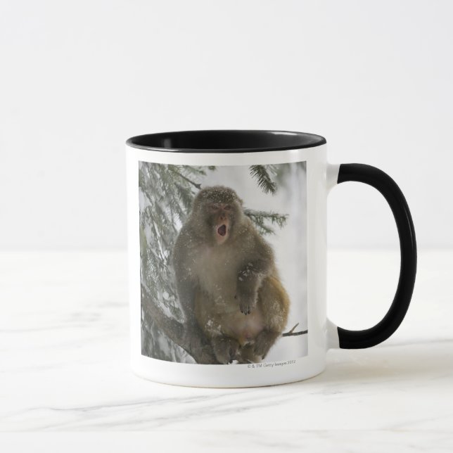 Rhesus Macaque monkey (Macaca mulatta) sitting Mug (Right)