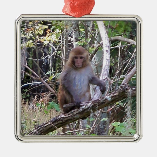 rhesus macaque monkey metal tree decoration (Front)