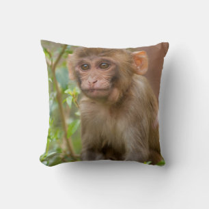 Rhesus Monkey Baby, Monkey Temple, Jaipur Cushion