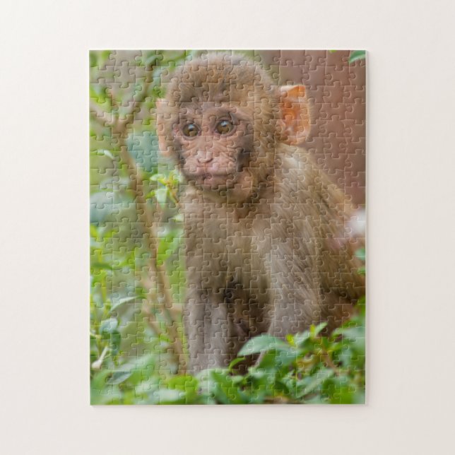 Rhesus Monkey Baby, Monkey Temple, Jaipur Jigsaw Puzzle (Vertical)