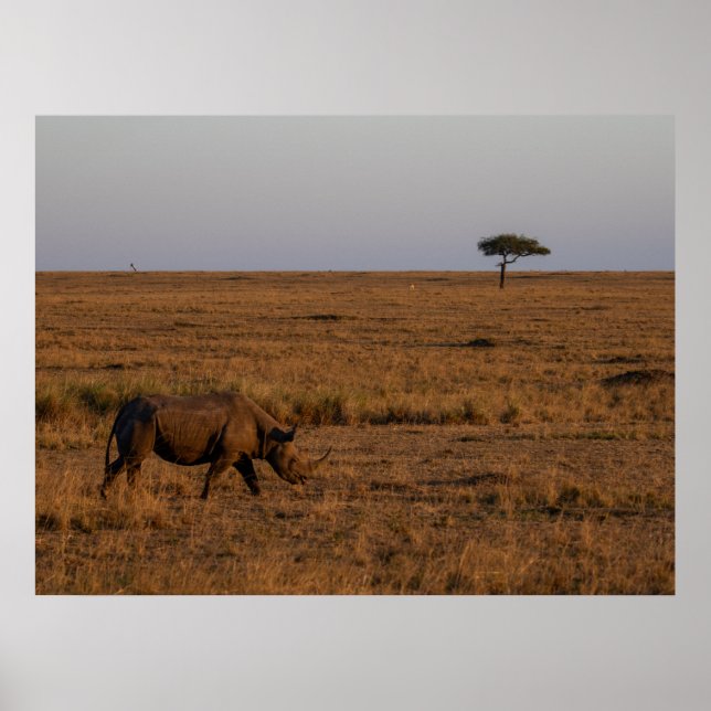 Rhino at Dusk – African Wildlife Wall Art Poster (Front)
