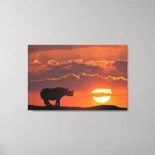 Rhino at sunset, Masai Mara, Kenya Canvas Print