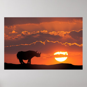 Rhino at sunset, Masai Mara, Kenya Poster