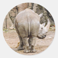 Rhino Butt