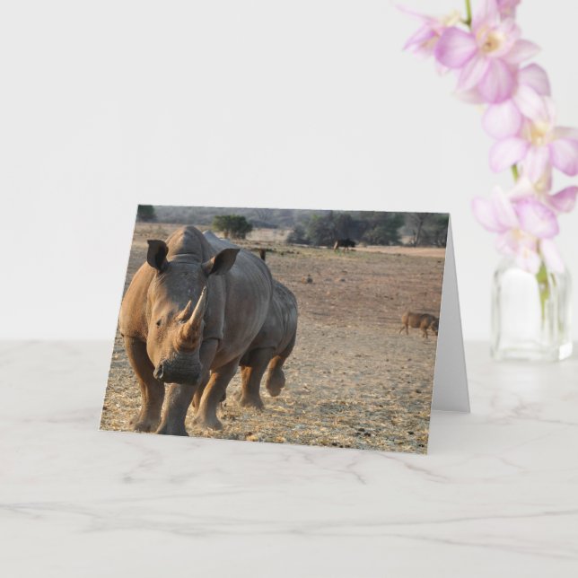 Rhino Card (Orchid)