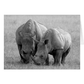 Rhino Card black & white