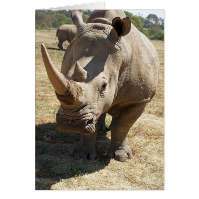 Rhino Charging (Front)