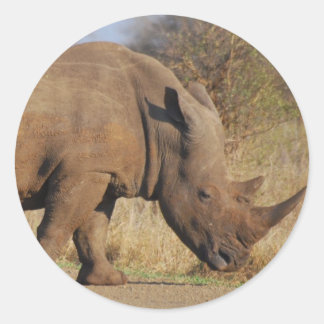Rhino Classic Round Sticker
