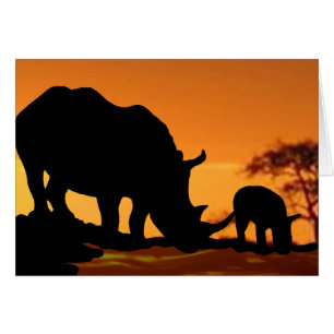 rhino family