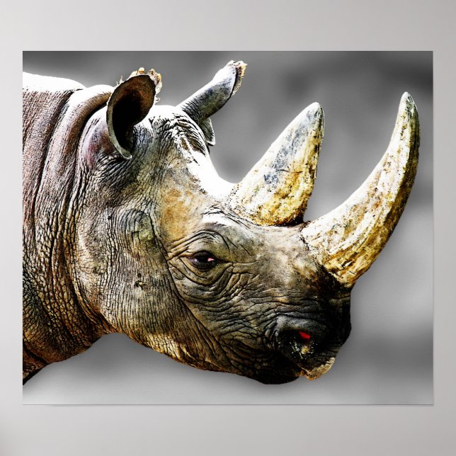 Rhino Head, Grey Background Painting Poster (Front)