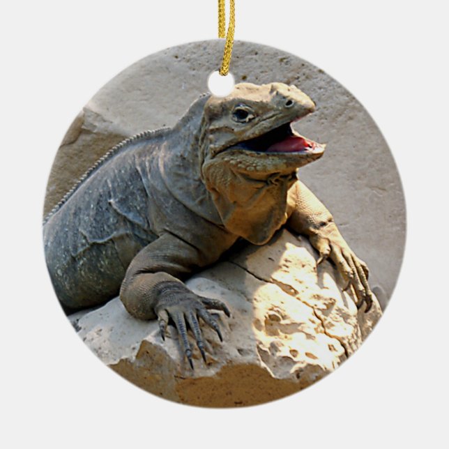 Rhino Iguana Ceramic Tree Decoration (Front)