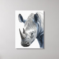 Rhino Illustration - Pencil Drawing