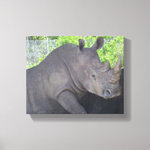 Rhino in Woodland Focus Canvas Print