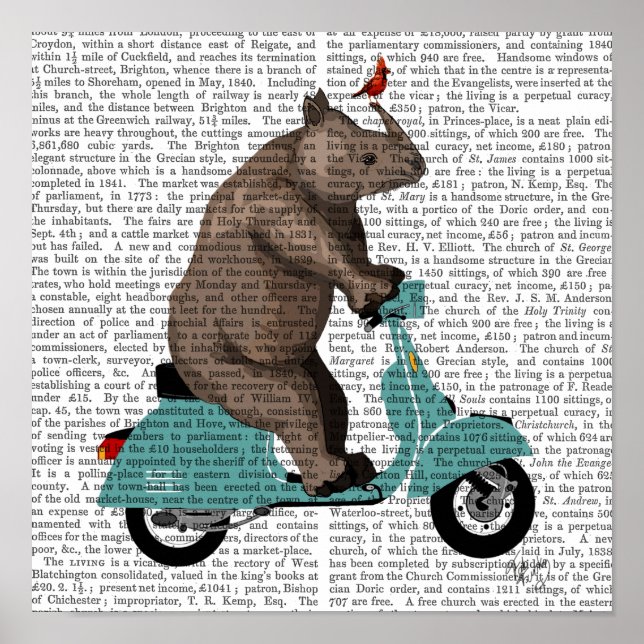 Rhino on Moped Poster (Front)