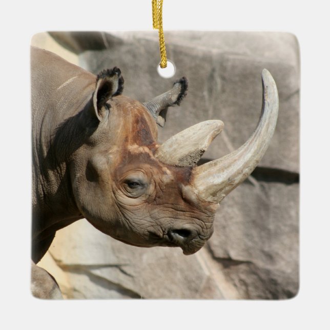 Rhino Ornament (Front)