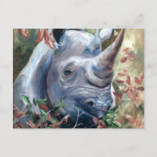 Rhino Postcard