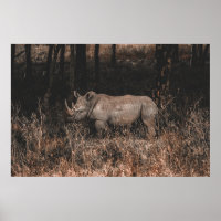 RHINO