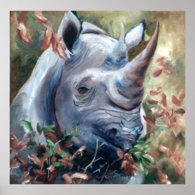 Rhino Poster (Front)