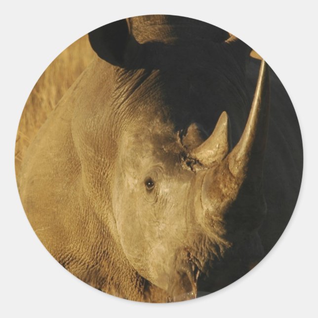 Rhino Sticker (Front)