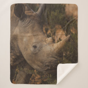 RHINO WILD ANIMALS SHERPA BLANKET