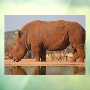 Rhino with mud on skin photo