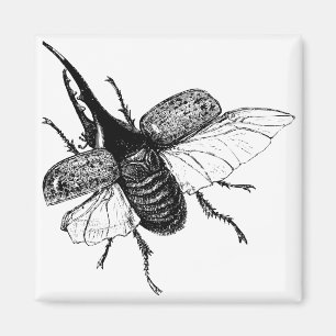 Rhinoceros Beetle Vintage Wood Engraving Magnet