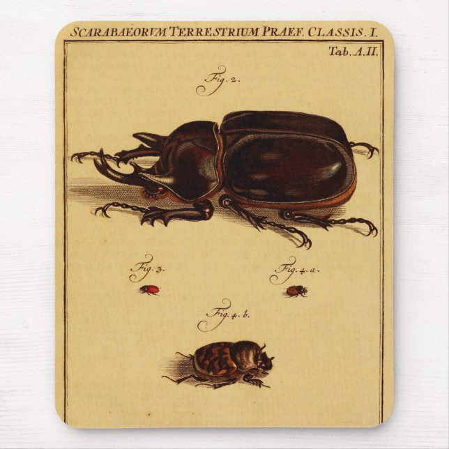Rhinoceros Beetles Mouse Pad (Front)