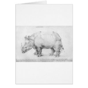 Rhinoceros by Albrecht Durer