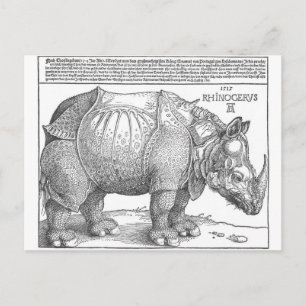 Rhinoceros by Albrecht Durer Postcard