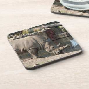 Rhinoceros Coaster