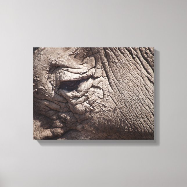 Rhinoceros Eye Canvas Print (Front)