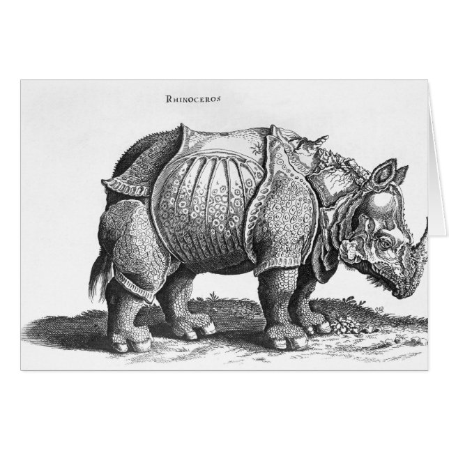Rhinoceros, from 'Historia Animalium' (Front Horizontal)