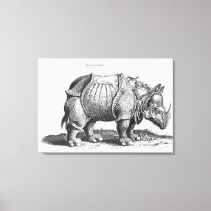 Rhinoceros, from 'Historia Animalium' Canvas Print