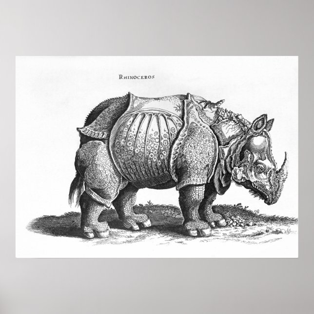 Rhinoceros, from 'Historia Animalium' Poster (Front)