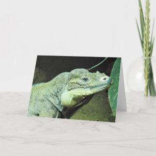 Rhinoceros Iguana Card