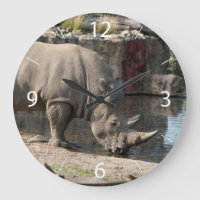 Rhinoceros