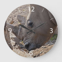 Rhinoceros