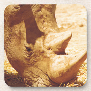 Rhinoceros Love Coaster