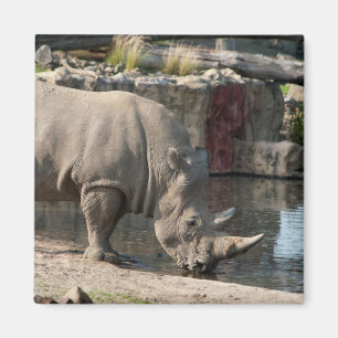 Rhinoceros Magnet