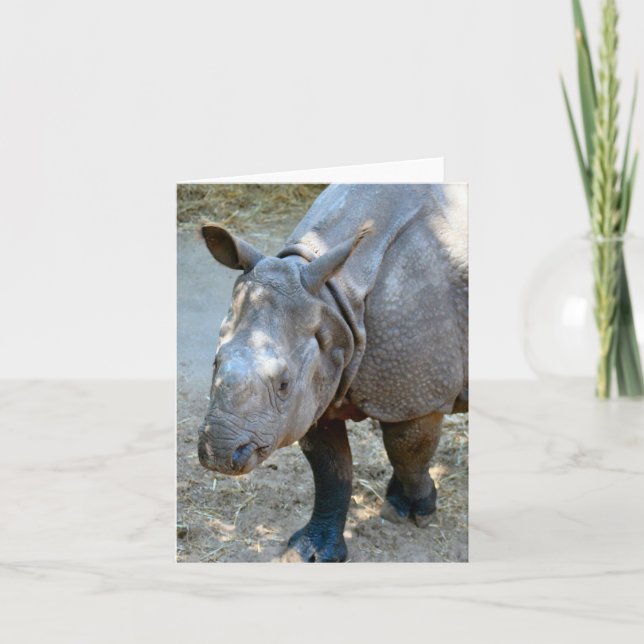 Rhinoceros Photo Folded Note Card (Front)