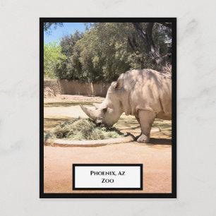 Rhinoceros Postcard